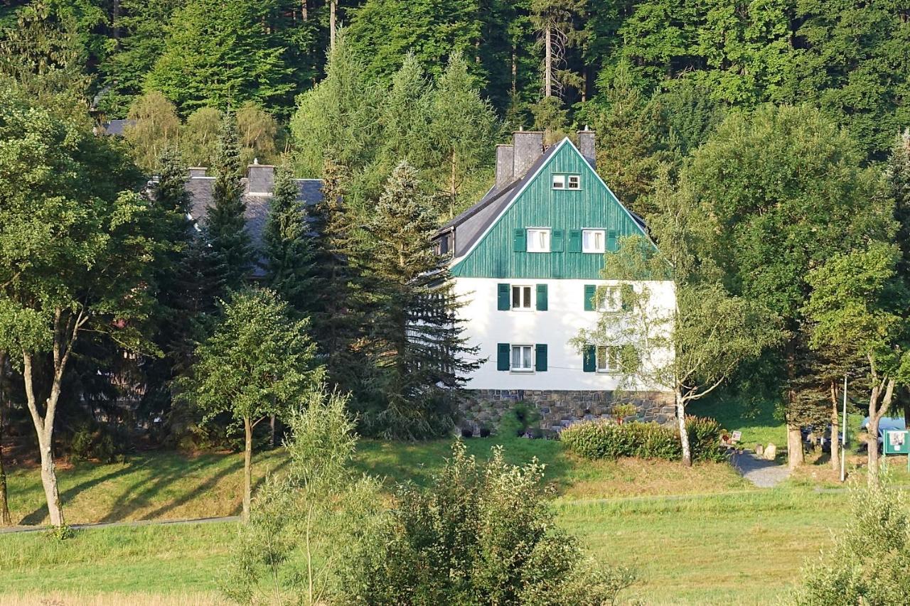 Апартаменти Haus Donnerberg Rehefeld Altenberg Екстер'єр фото